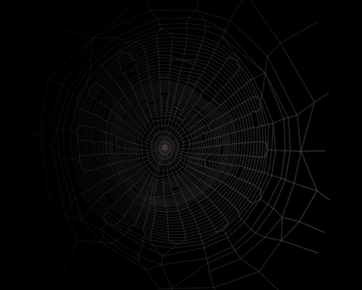 zeauro nature spiderweb preview image 1